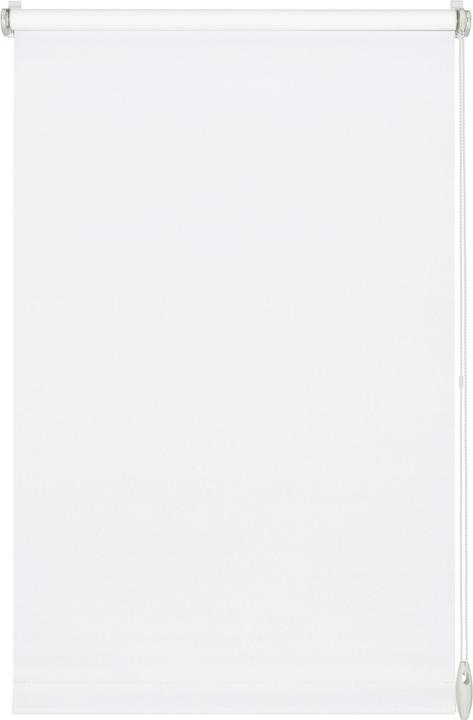 Produktbild Gardinia Easyfix Uni Rollo (60 x 150 cm)