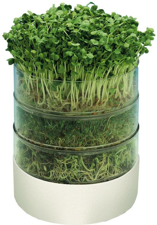 Produktbild Samen Mauser Keimapparat Bioset (Keimlinge)
