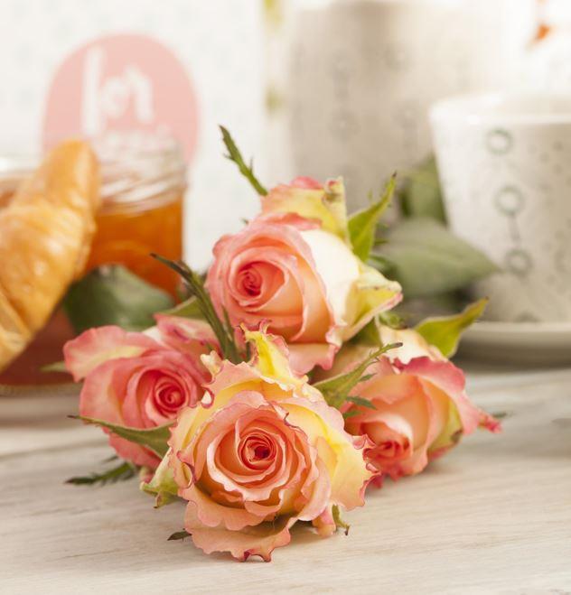 Produktbild Ecuadorrosen 14 Stk 60cm orange (Schnittblumen)