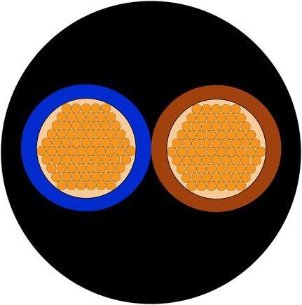 Image du produit Rs Pro Cable H03 VV-F noir 2X0.5mm2 (100 m)