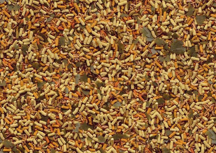 Actual product image Tetra Pond Mix 1l (Goldfish, 1000 ml)