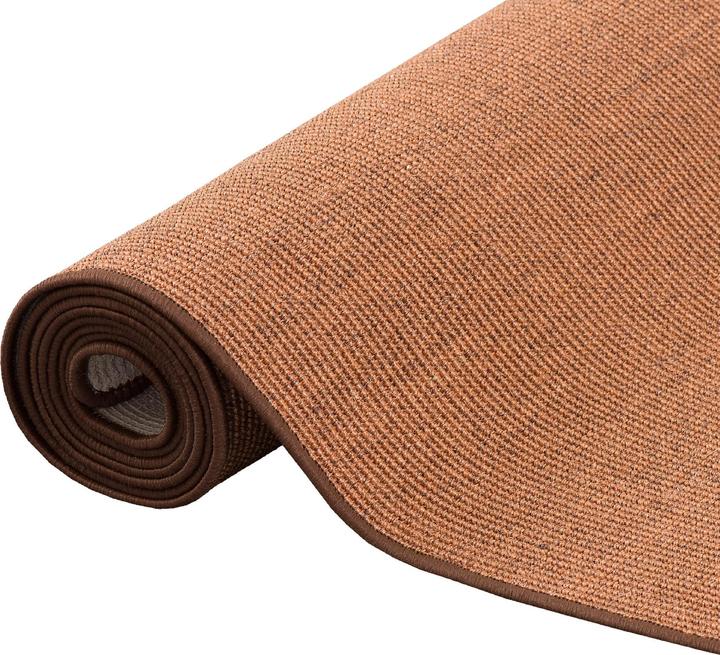 Image du produit Snapstyle Sisal naturel Tapis de passage (100 x 300 cm)