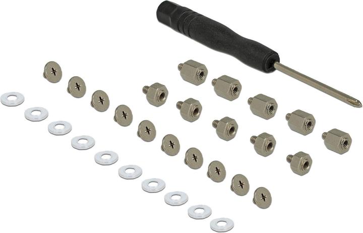Delock Mounting set 31 pieces for M.2 SSD / module