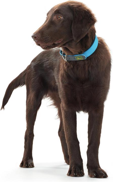Produktbild Hunter Halsband Convenience Biothane (S, M, Hund, Allgemein)