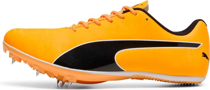 Image du produit Puma evoSPEED Sprint 14.5 (45)