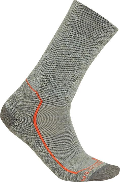Icebreaker Men Hike+ Medium Crew (47 - 49)
