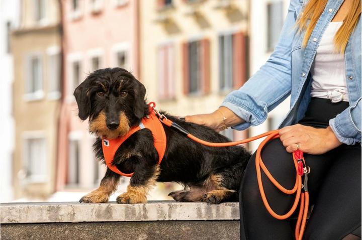 Produktbild Curli Geschirr Vest Air-Mesh 2XS, Ruby (XXS, Hund, Allgemein)