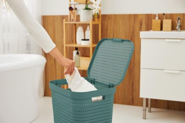 Image du produit Rotho Country (55 l)