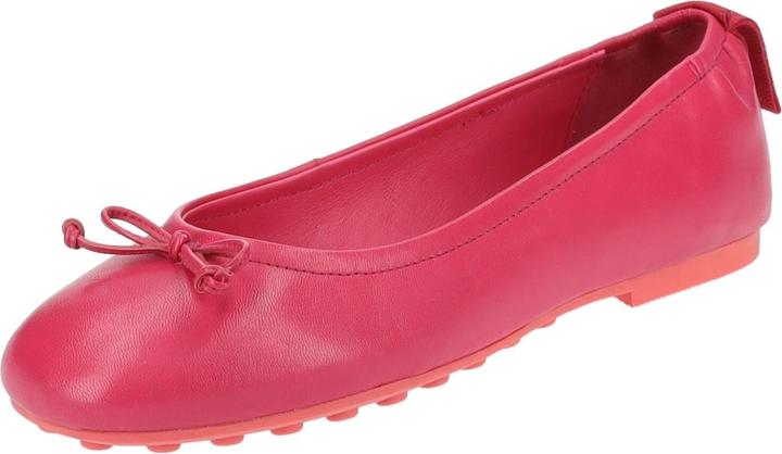 GANT Ballerinas (36)