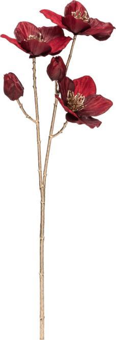 Actual product image pfister Magic Blooms