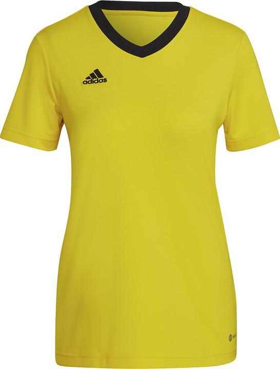 Jaune / Noir