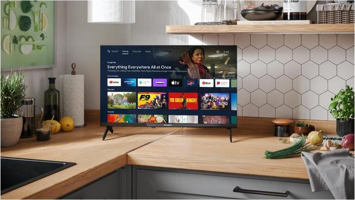 Actual product image Sharp 24FH2EA (24", LED, HD ready, 2023)