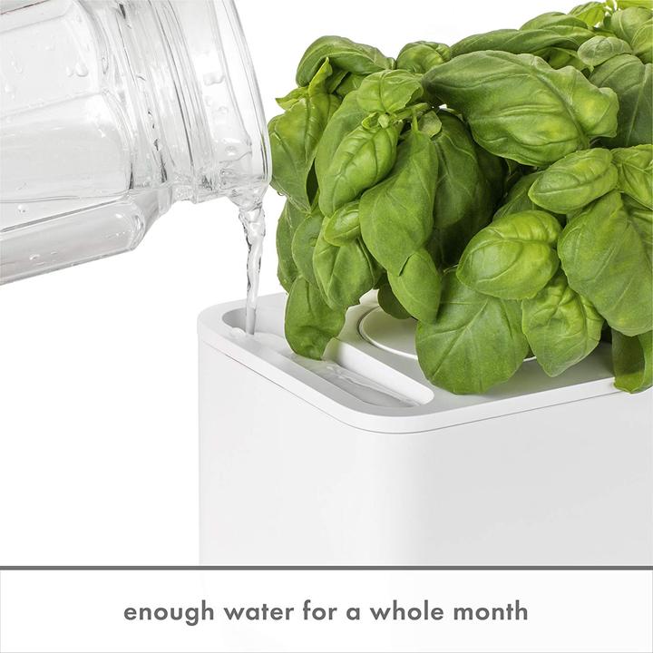 Produktbild Click and Grow Smart Garden (31.50 cm)