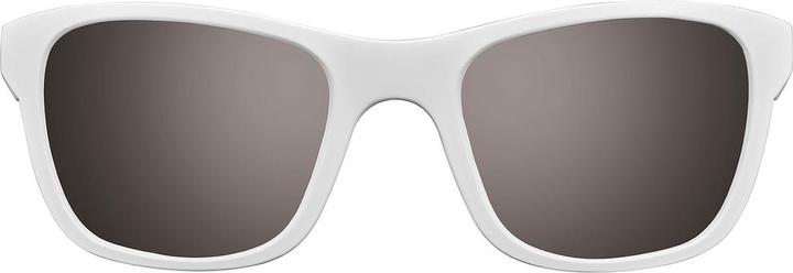 Actual product image Julbo Reach L Spectron 3 Glasses