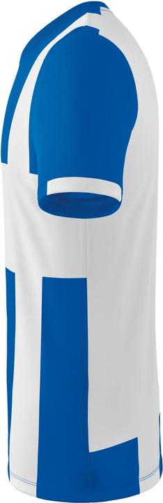 Actual product image Erima Siena 3.0 jersey (128)