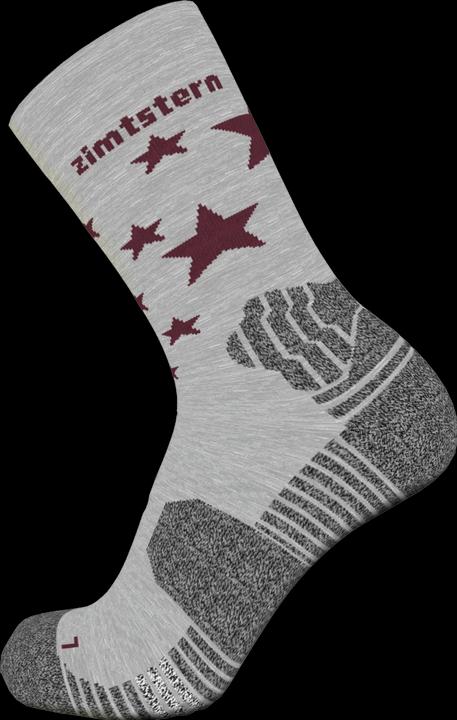 Produktbild Zimtstern Socken TechsockZ MTB Performance Women (44 - 47)