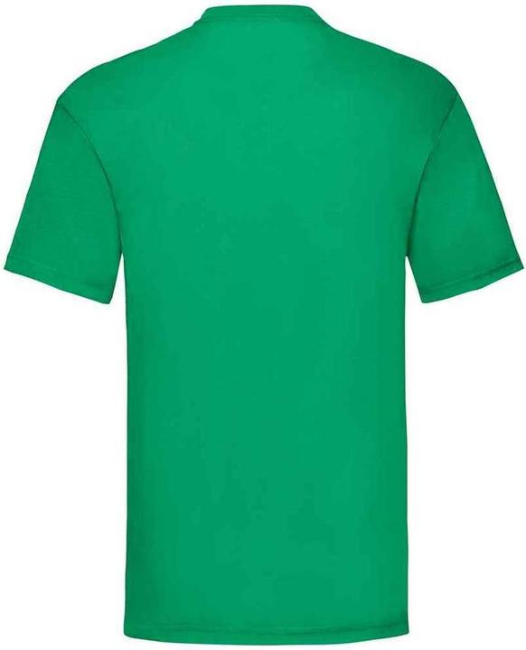 Actual product image Fruit of the Loom Mens Valueweight T-Shirt (M)