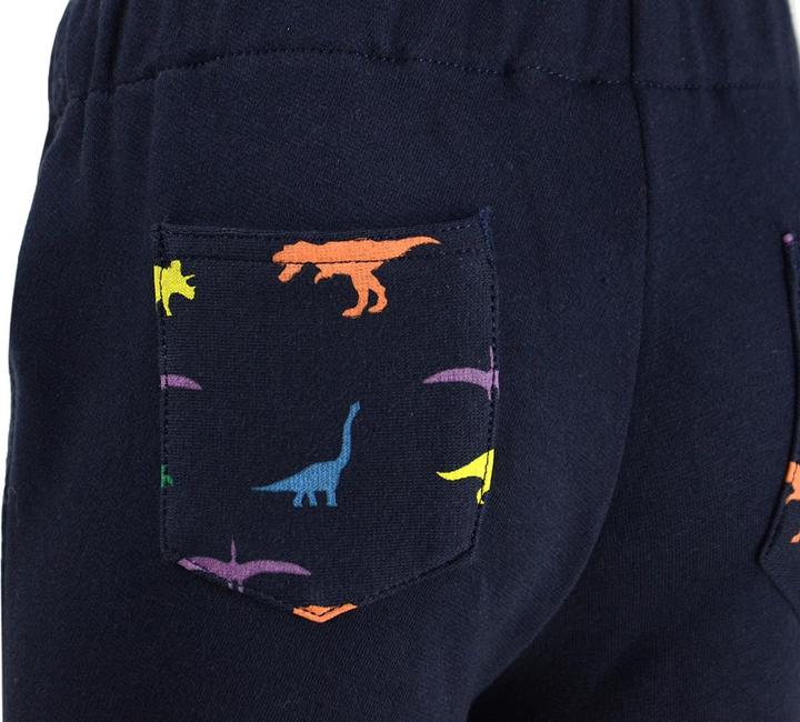 Image du produit Hy Equestrian Jodhpurs Dinosaur (XL)