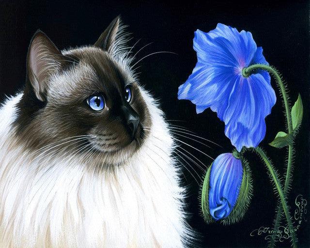 Actual product image Figured'Art Paint by Numbers framed - Face to Face Flowers