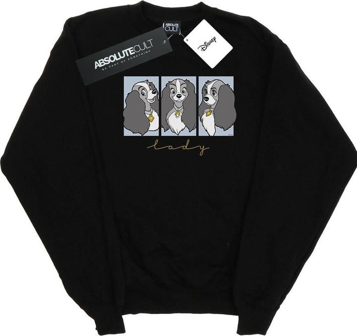 Image du produit Disney - Sweat LADY AND THE TRAMP LADY FRAMES - Garçon (128)