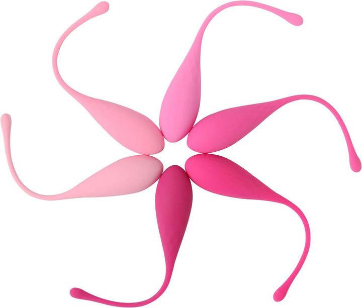 Image du produit FeelzToys FemmeFit (50 -130 g)