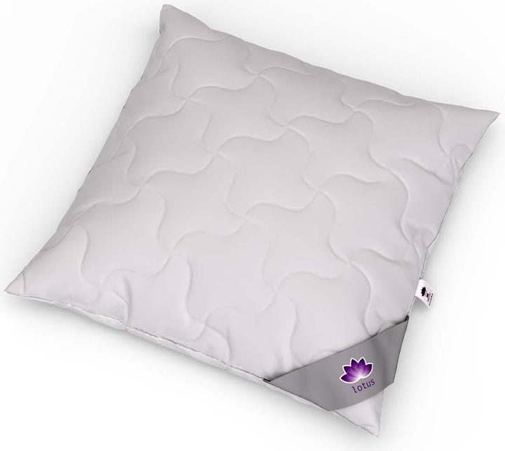 Image du produit Lotus Bettwaren Oreiller Tencel réglable (65 x 65 cm)