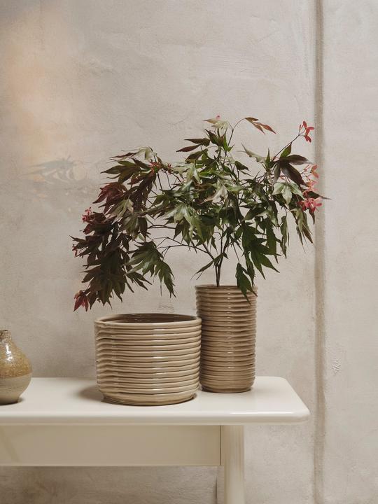 Immagine prodotto Ferm Living Corduroy (1 x, 12 x 12 x 21 cm, 0.01 l)