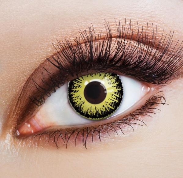 Image du produit Zoelibat Tournesol (Jaune/Noir)