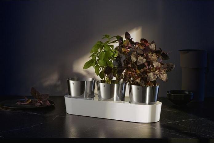Immagine prodotto WMF Giardinetto di erbe aromatiche (14 cm)