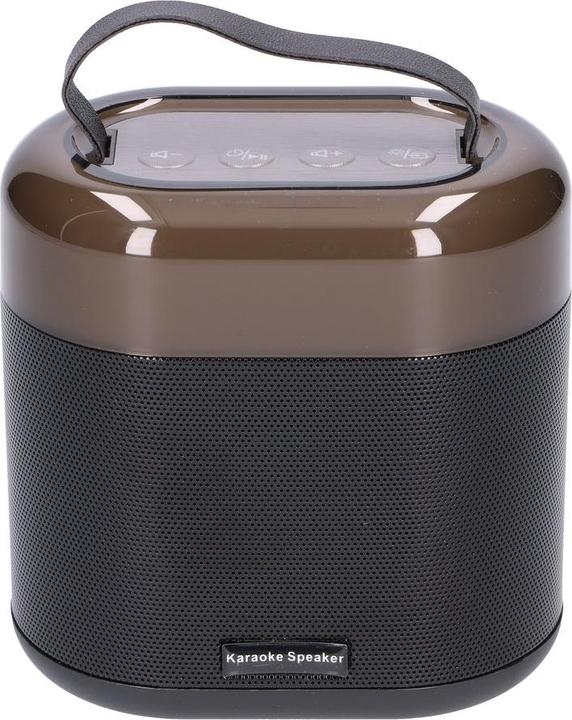 Produktbild Extralink Kids Karaoke LED Speaker 2 Microphones Black
