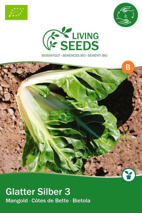 Actual product image Living Seeds Chard, Smooth Silver 3 (Vegetable seeds)