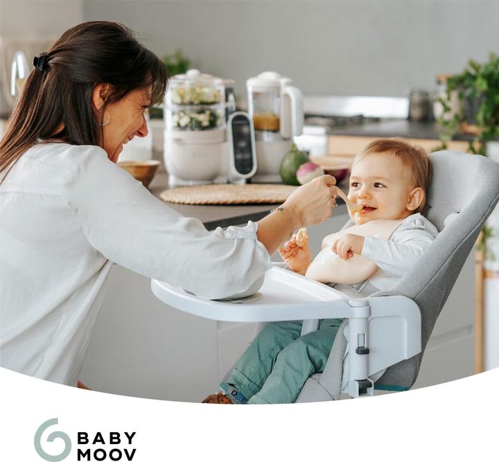 Image du produit Babymoov Nutribaby(+) Mineral beige Robot Multifonctions bébé 6 en 1