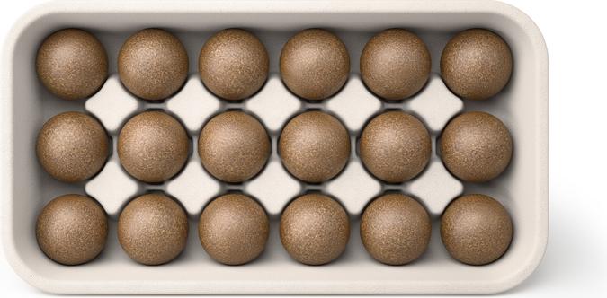 Actual product image CoffeeB Lungo Forte (18 x Port.)