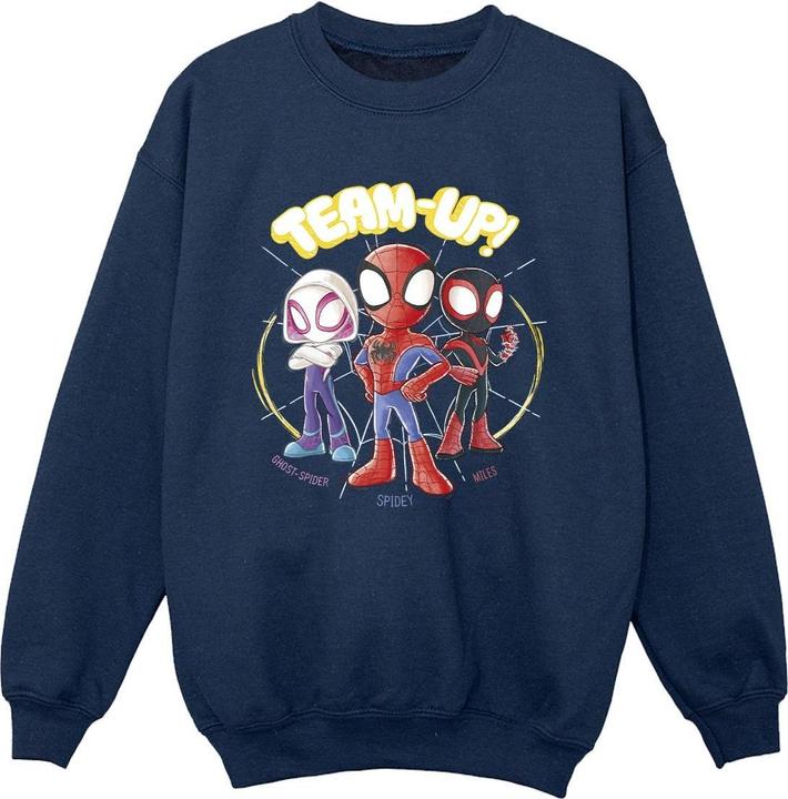 Spidey And His Amazing Friends Sketch Sweatshirt Jungen