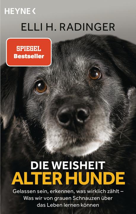 Actual product image Die Weisheit alter Hunde (German, Leïla Slimani, 2020)