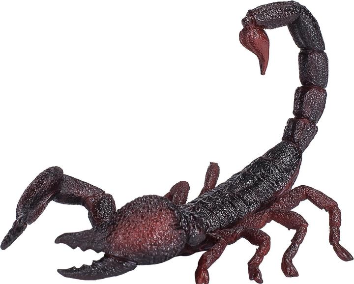 Image du produit small foot Scorpion impérial