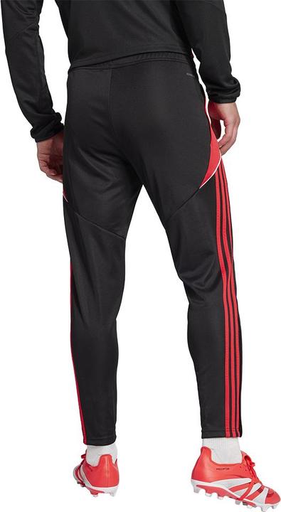 Actual product image adidas TIRO24 TRPNT S (L)