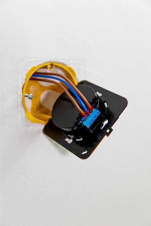 Actual product image Shelly Wall Display