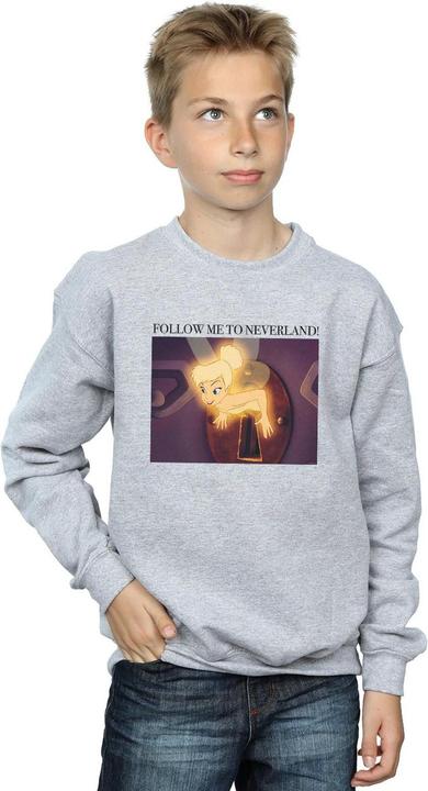 Produktbild Disney Tinker Bell Follow Me Sweatshirt Jungen (140, 146)