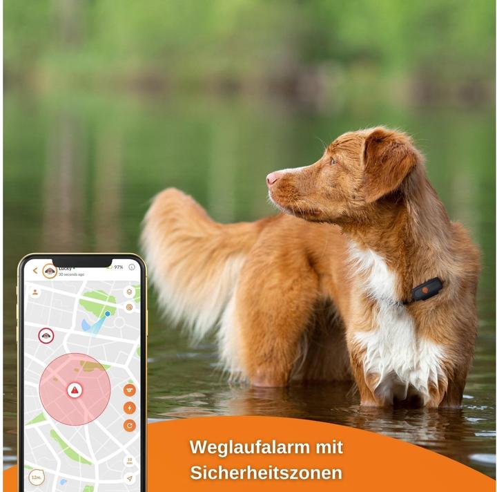 Image du produit Weenect Traceur GPS XS pour chiens, noir (Chien)