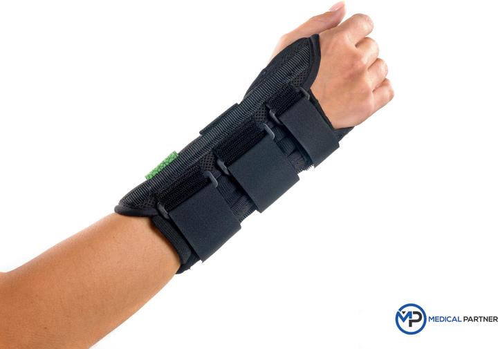 Actual product image BraceID D-Ring kurz (L)