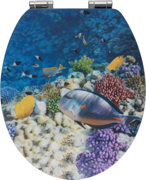 Wenko Fish