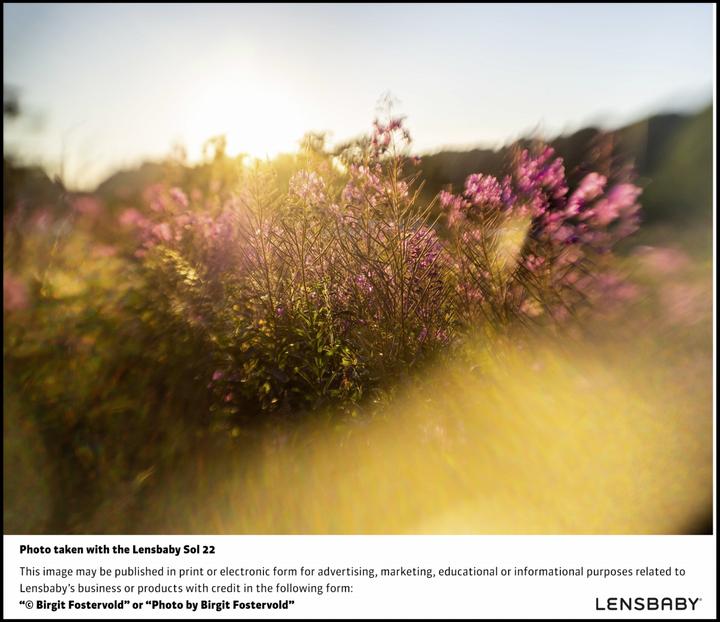 Produktbild Lensbaby Sol 22 MFT (Micro Four Thirds, Micro Four Thirds)