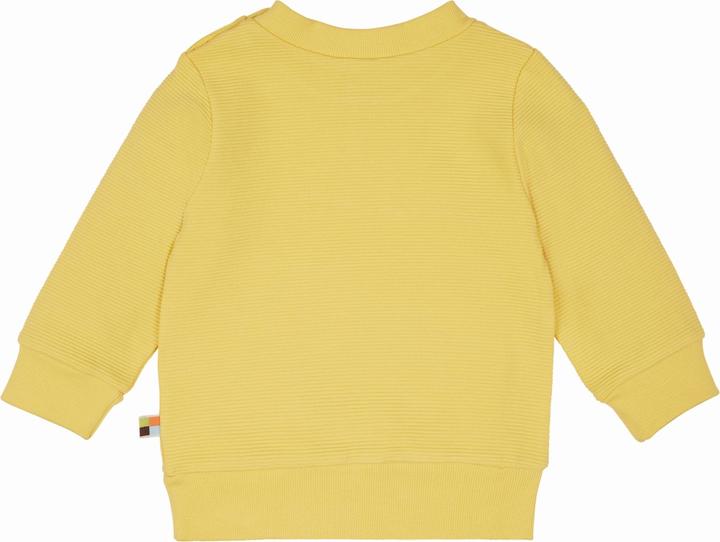 Actual product image loud + proud Sweat rib structure (62)