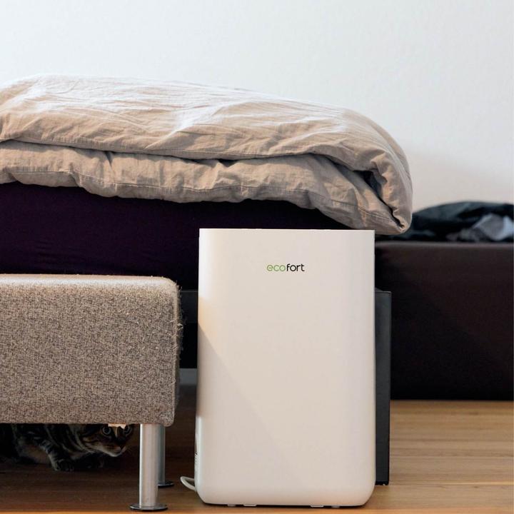 Actual product image ecofort ecoQ DryAir 20L Energy Saver (50 m², 20 l/24h)