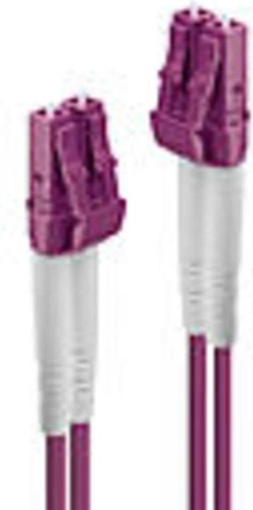 Actual product image Lindy Fiber optic cable (CAT8.2, 3 m)