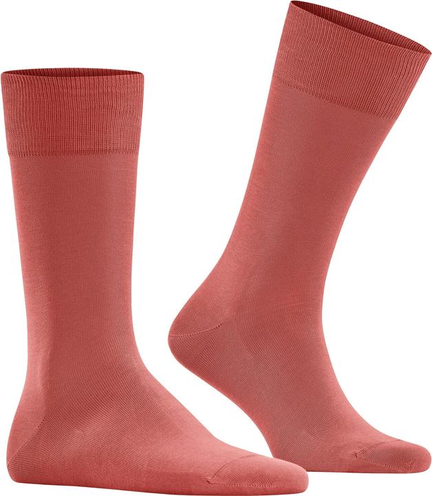 Image du produit Falke Cool 24/7 Men Chaussettes (41 - 42)