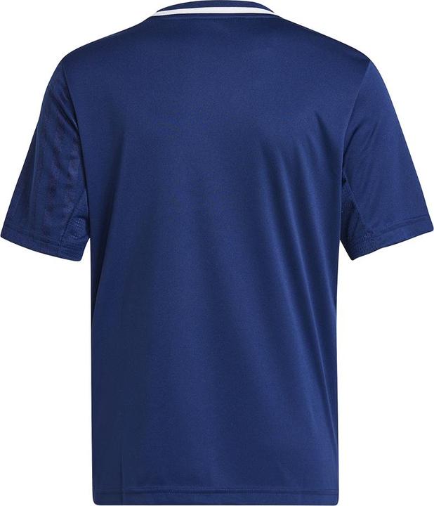 Image du produit adidas Maillot Campeon 25 Kids (176)