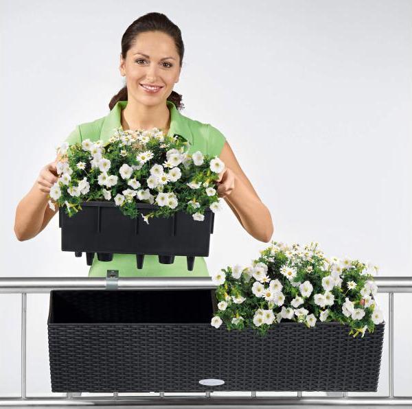Image du produit Lechuza Chalet Balconera (19 cm)