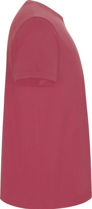 Image du produit Alpinia - T-shirt STAFFORD - Homme (3XL)